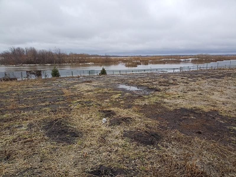 Паводковая ситуация в деревне Пятково стабилизирована